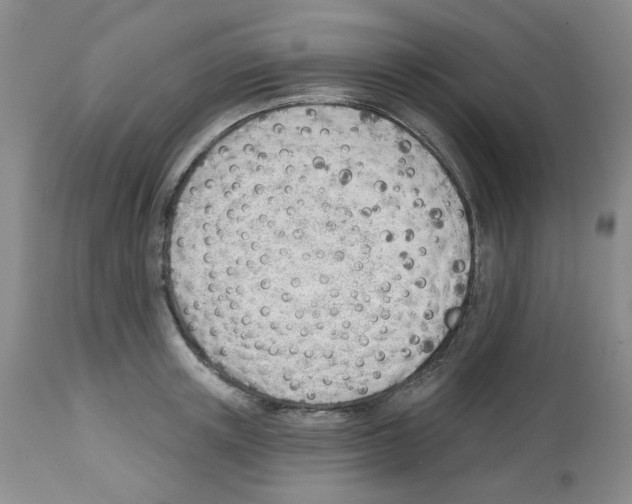 X0000112740851200910011218