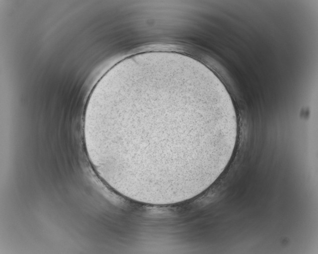 X0000112740852200910011218