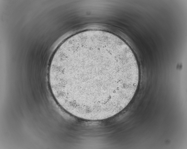 X0000112740853200910011219