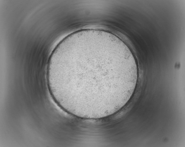 X0000112740855200910011219