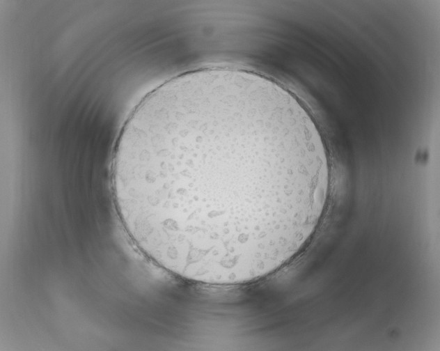 X0000112740856200910011219