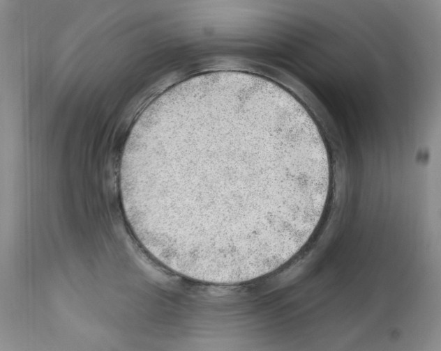 X0000112740857200910011219