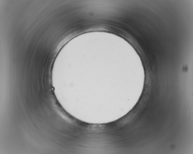 X0000112740858200910011219