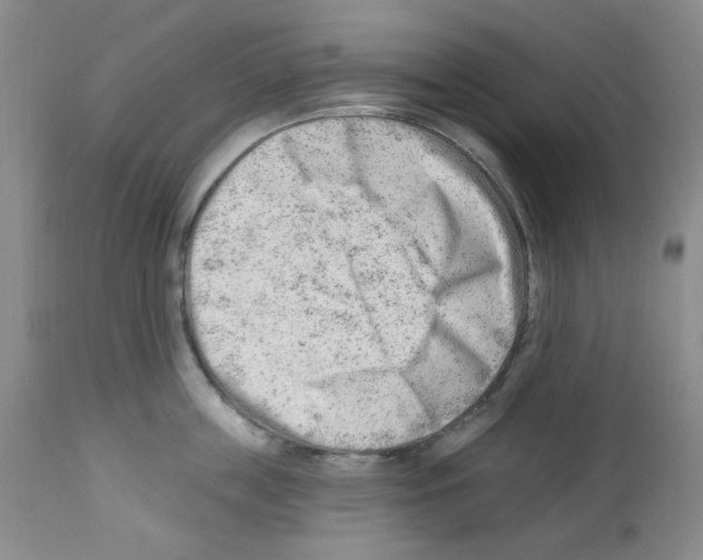 X0000112740859200910011219