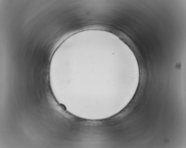 X0000112740860200910011219