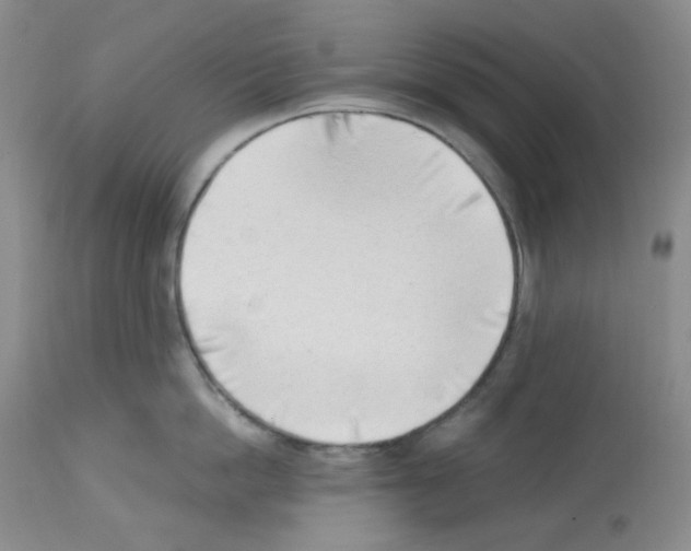 X0000112740862200910011219