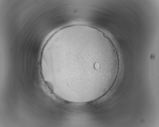 X0000112740864200910011219