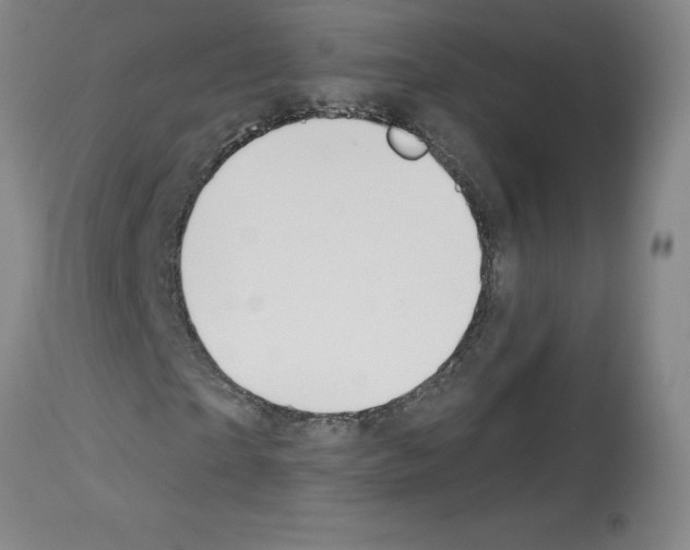 X0000112740865200910011218