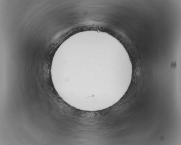 X0000112740869200910011218