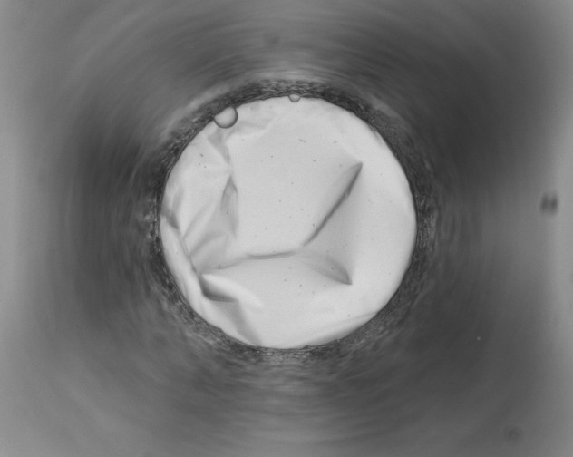 X0000112740870200910011218