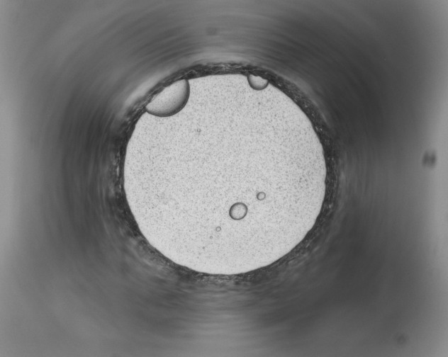 X0000112740871200910011218