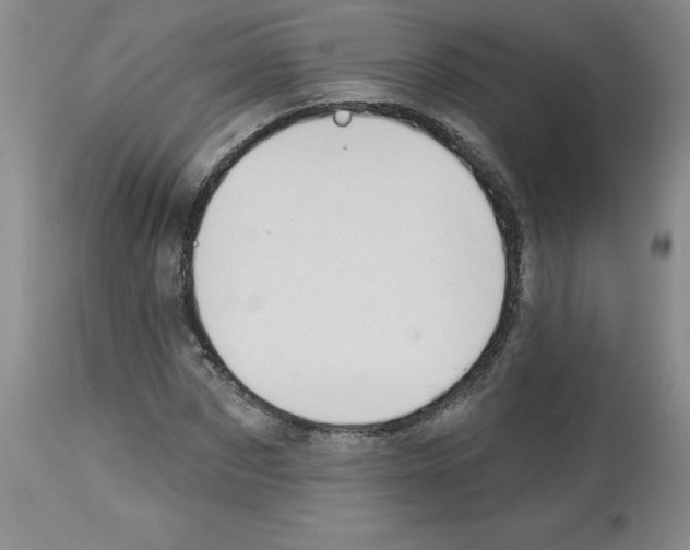 X0000112740873200910011218