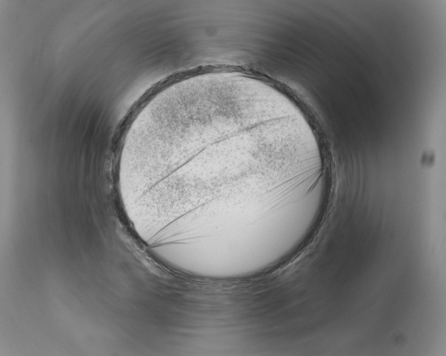 X0000112740878200910011218