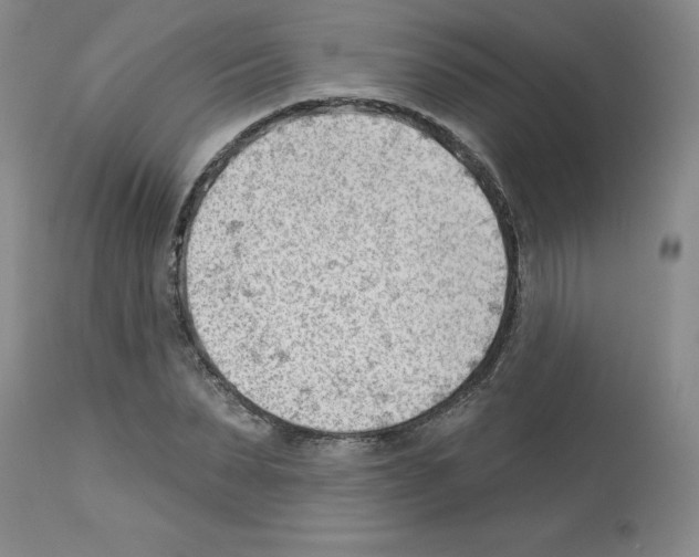 X0000112740879200910011218