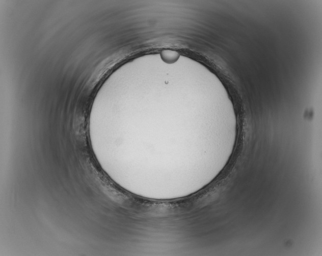 X0000112740881200910011218