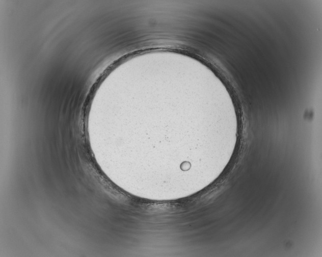 X0000112740883200910011218