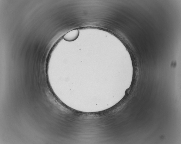 X0000112740884200910011218