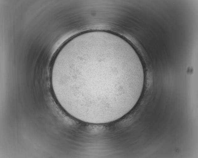 X0000112740886200910011218