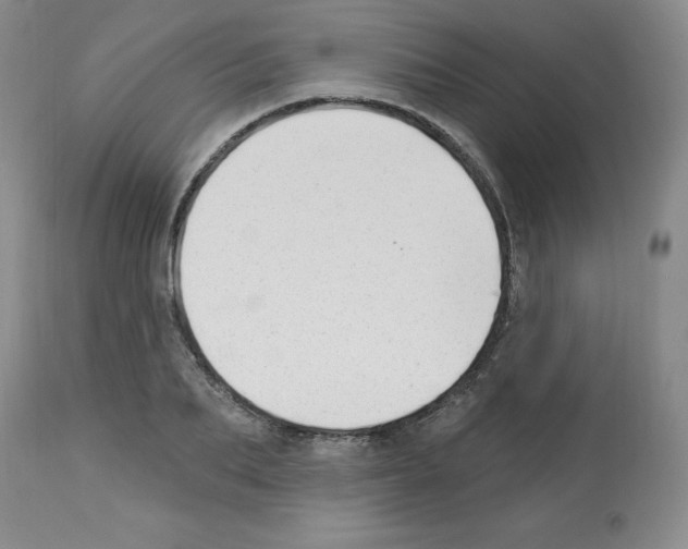 X0000112740887200910011218