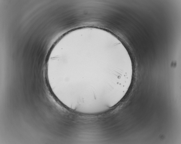 X0000112740888200910011218