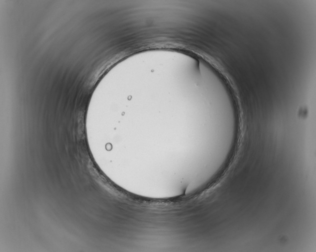 X0000112740889200910011218