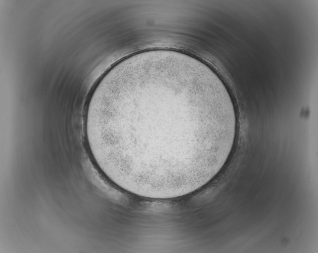 X0000112740890200910011218