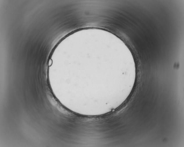 X0000112740892200910011218