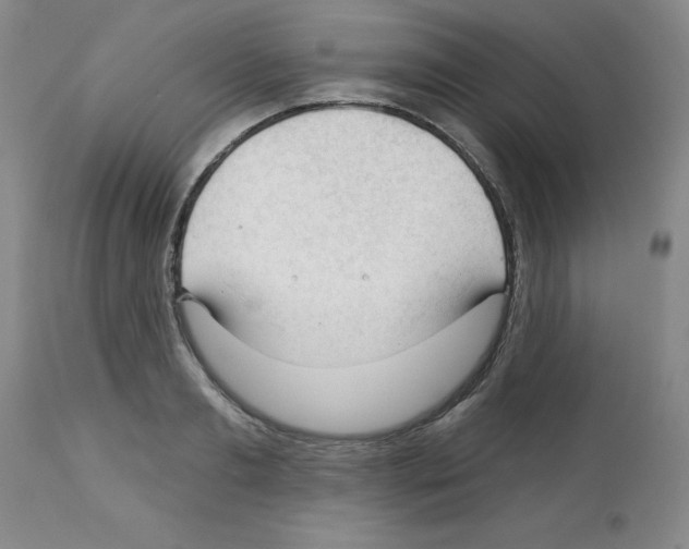 X0000112740893200910011218