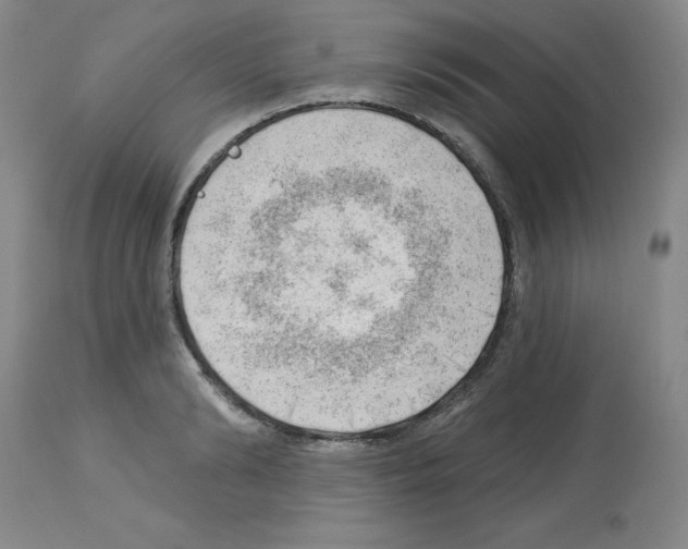 X0000112740894200910011218