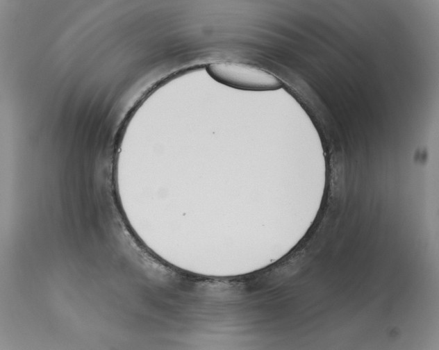 X0000112740896200910011218