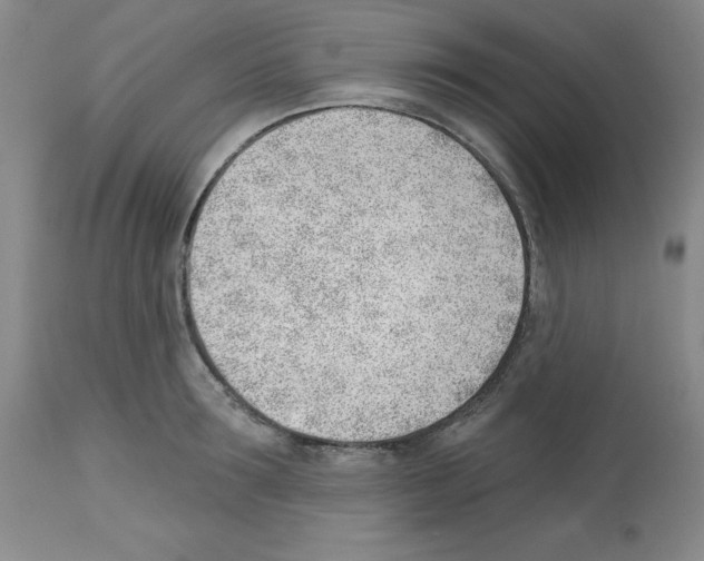 X0000112740899200910011218