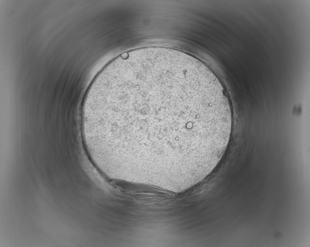 X0000112740907200910011217