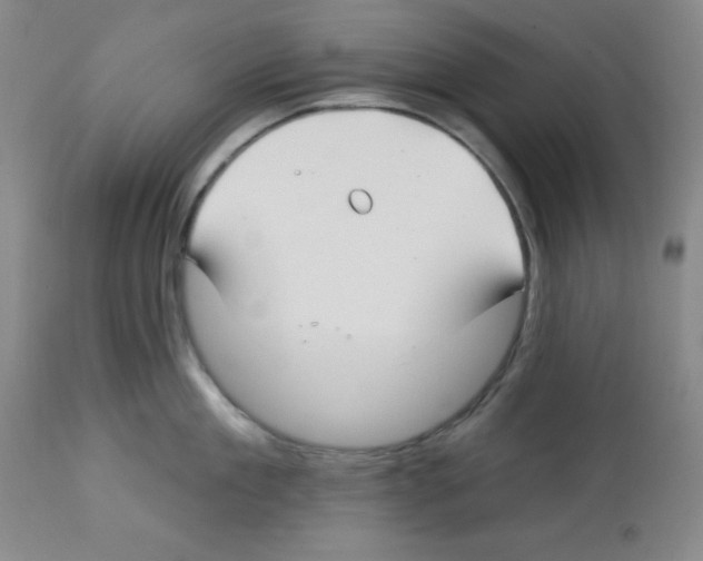 X0000112740909200910011217