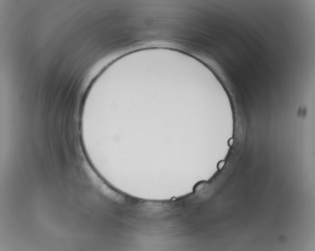 X0000112740910200910011217