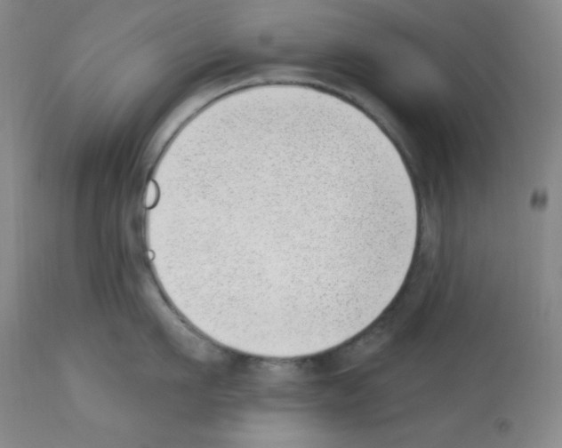 X0000112740911200910011217