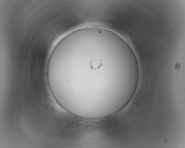 X0000112740912200910011217