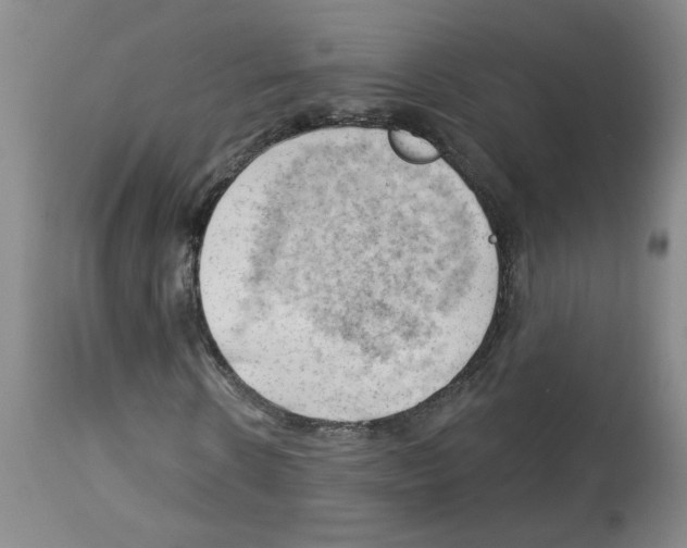 X0000112740914200910011217