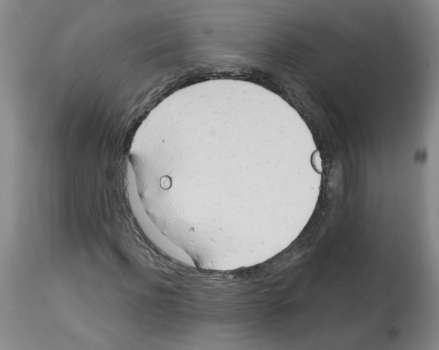 X0000112740916200910011217