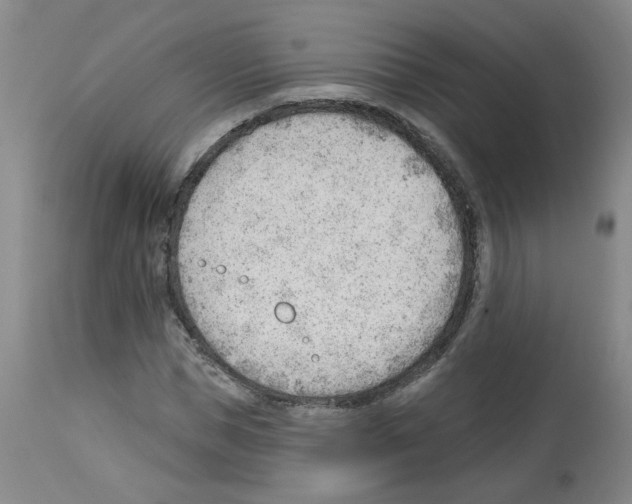 X0000112740921200910011217