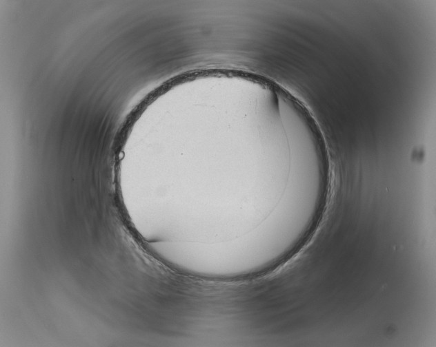 X0000112740925200910011217