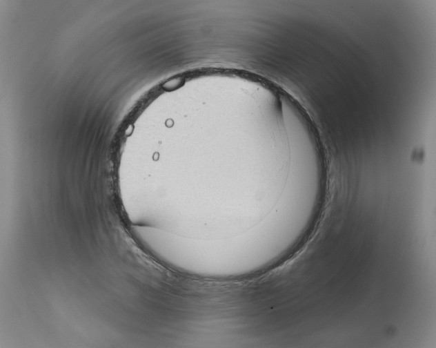 X0000112740926200910011217