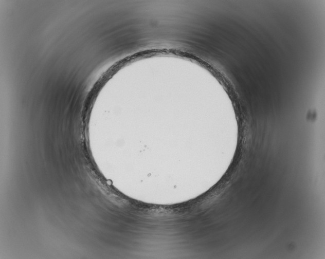 X0000112740927200910011217