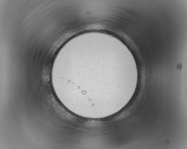 X0000112740929200910011217