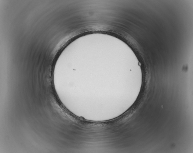 X0000112740930200910011217