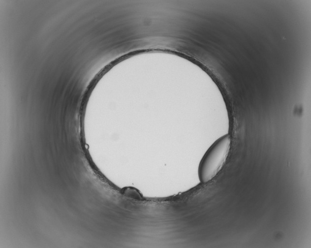 X0000112740936200910011217