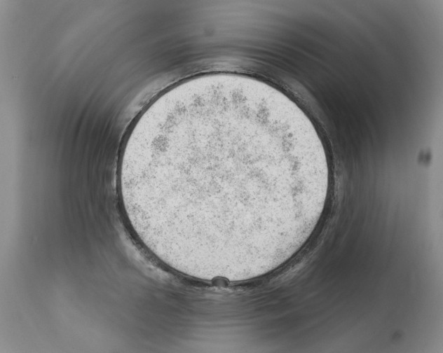 X0000112740938200910011217