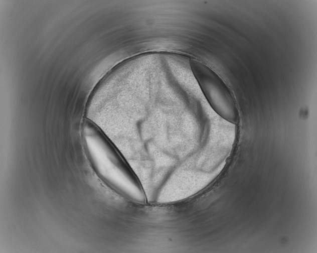 X0000112740946200910011217