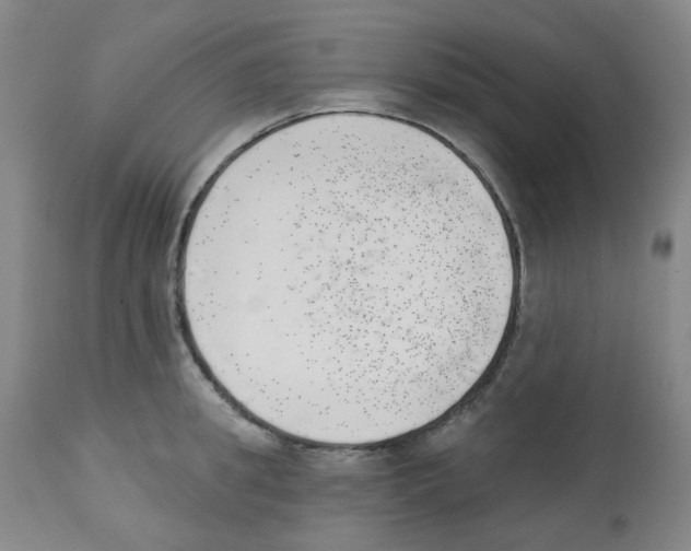 X0000112740949200910011217