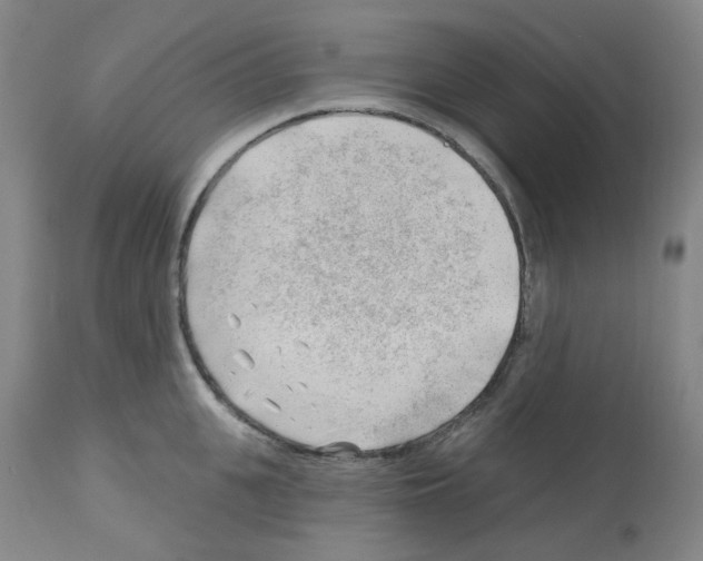 X0000112740951200910011217