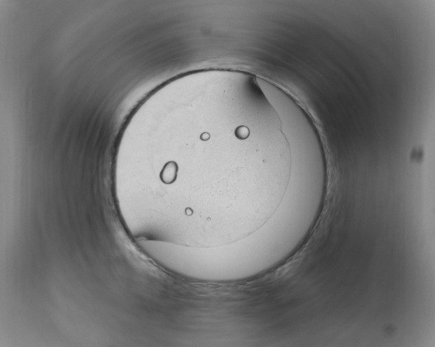 X0000112740952200910011217